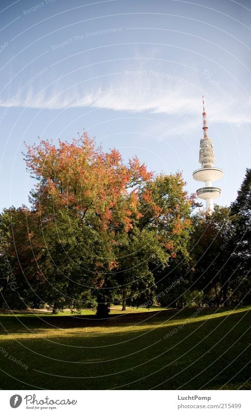 Mein Hamburg im Herbst Fernsehturm hoch Herbstlaub Baum Ahorn rot orange gelb gelb-orange rotgelb Blatt Zweige u. Äste Turm Schanzenpark Herbstfärbung