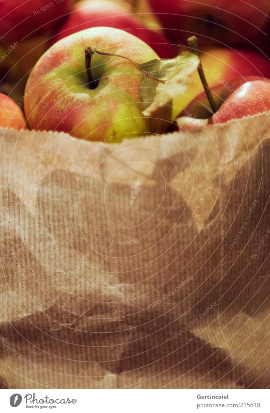 Bio Lebensmittel Frucht Apfel Ernährung Bioprodukte lecker Ernte Tüte Apfelernte Apfelstiel Gesunde Ernährung Gesundheit Farbfoto Innenaufnahme