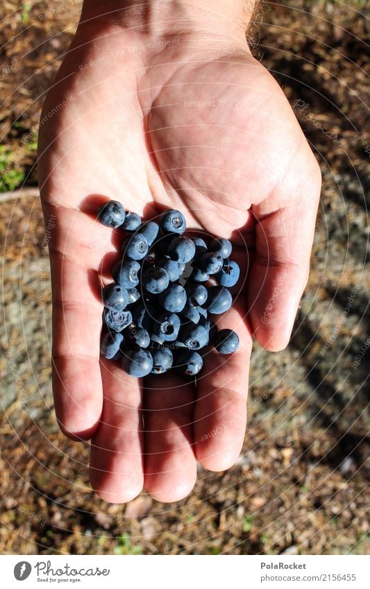 #S# BlauBÄREN Freizeit & Hobby entdecken Frucht Ernährung Essen Blaubeeren Bioprodukte Vegetarische Ernährung Diät Sommer Schweden Natur frisch Wald saftig blau