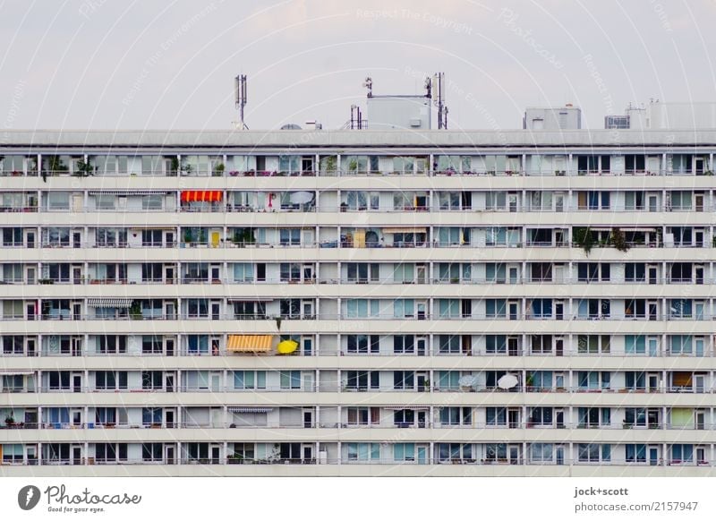 Schöner wohnen trifft Platte Stil Sommer Berlin-Mitte Plattenbau Fassade Streifen authentisch hässlich retro trist grau Symmetrie DDR Gebäude