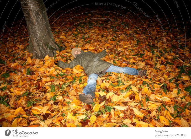 Herbstlaubengel Kindheit 1 Mensch Natur Erde Baum berühren Erholung schlafen dreckig braun gelb grün rot Gefühle Freude Blatt mehrfarbig Müdigkeit Farbfoto