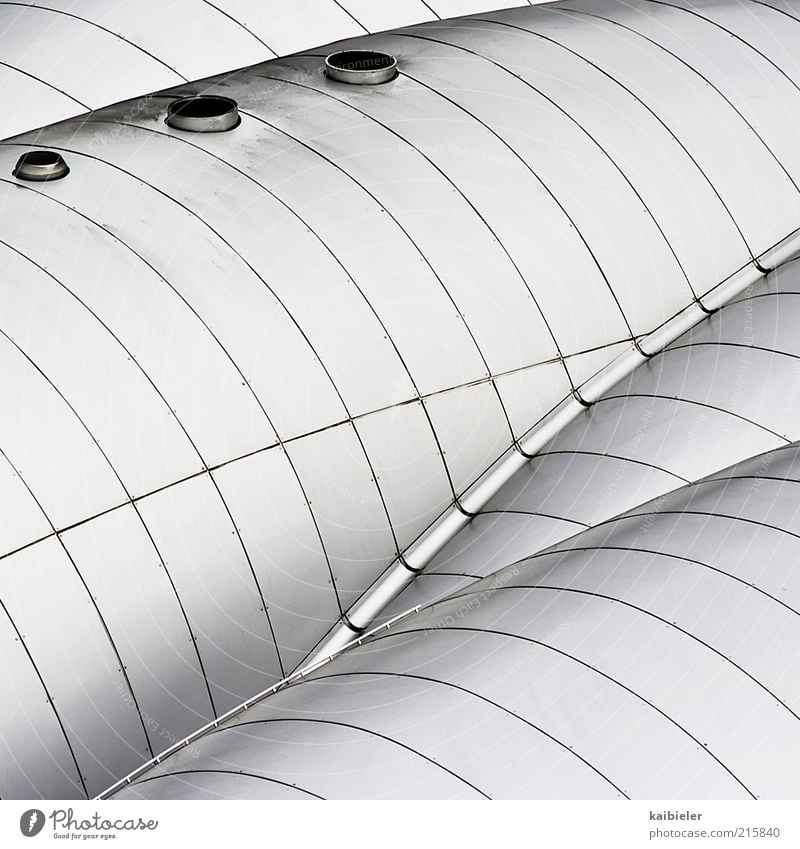 Organische Architektur Haus Bauwerk Gebäude Dach Metall ästhetisch kalt rund grau silber weiß modern Linie Lüftung konkav Strukturen & Formen