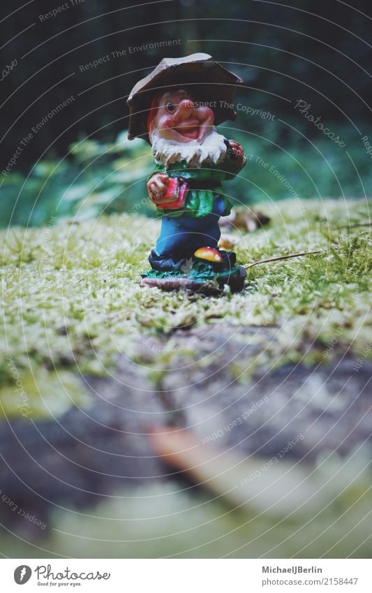 Gartenzwerg mit Regenschirm im Wald Gartenzwerge Sammlerstück stehen mehrfarbig Freude Fröhlichkeit Zufriedenheit Lebensfreude Natur Waldboden Figur spaßig