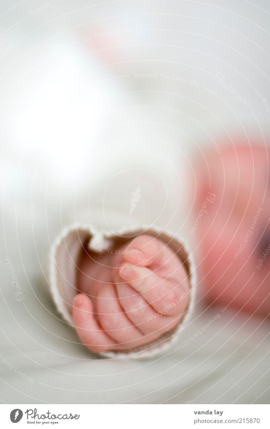 Sind so kleine Hände Mensch Kind Baby Kindheit Hand Finger 1 0-12 Monate weiß Vertrauen Sicherheit Schutz Geborgenheit Menschlichkeit Hilfsbereitschaft dankbar