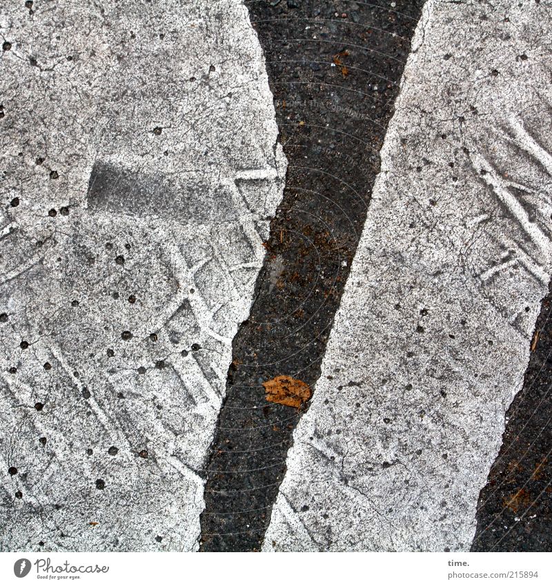 [HH10.1] - Lebenslinien #18 Blatt Straßenverkehr Linie heiß grau Farbe Asphalt Farbstoff Abdruck Eindruck Reifenprofil Bodenbelag Straßenbelag geschmolzen Teer