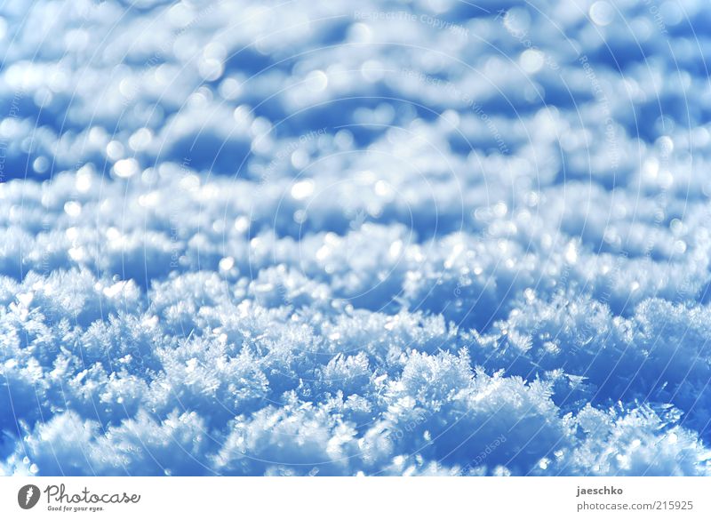 Zugedeckt Winter Eis Frost Schnee frisch kalt blau weiß Schneekristall Kristallstrukturen Schneeflocke Schneedecke Neuschnee Farbfoto Außenaufnahme