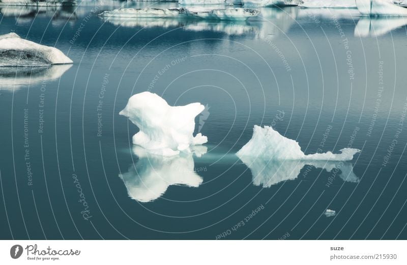 Eisvogel Ferien & Urlaub & Reisen Expedition Umwelt Natur Landschaft Urelemente Wasser Klima Klimawandel Frost Gletscher See außergewöhnlich fantastisch