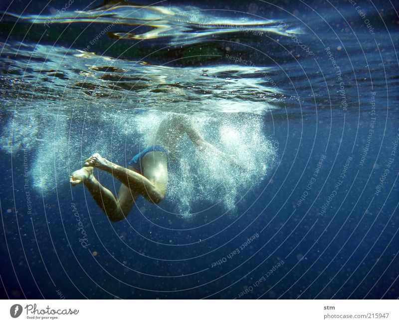 Unterwasseraufnahme eines schwimmenden Manns Leben Wohlgefühl Erholung Schwimmen & Baden Freizeit & Hobby Ferien & Urlaub & Reisen Freiheit Sommer Sommerurlaub