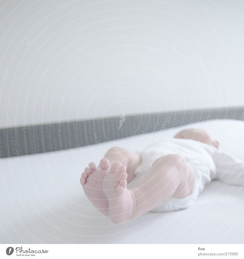 neue welt / teil 1 Häusliches Leben Bett Mensch Baby Kleinkind Kindheit Fuß 0-12 Monate liegen schlafen weiß Glück Zufriedenheit Warmherzigkeit Beine Bewegung