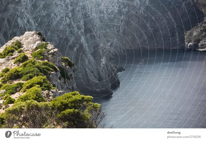 Mallorca I Natur Landschaft Pflanze Erde Wasser Sommer Schönes Wetter Sträucher Felsen Küste Bucht Meer Mittelmeer Insel dunkel frisch kalt Wärme blau grau grün