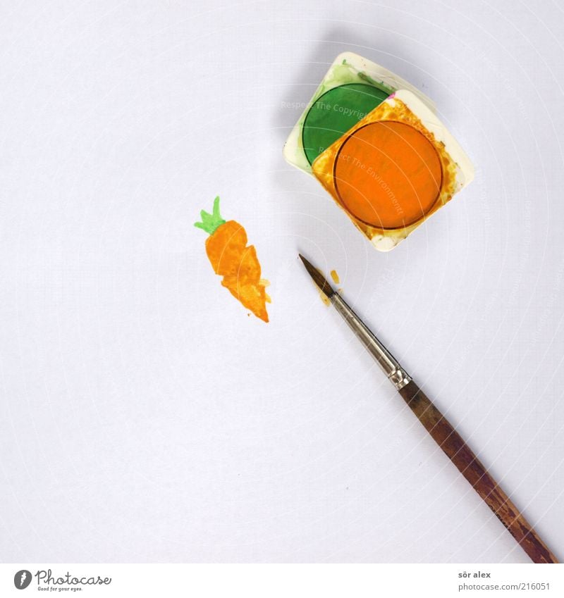 Rüebli - 00 Lebensmittel Gemüse Ernährung Bioprodukte Vegetarische Ernährung Möhre Papier Pinsel Pinselstiel Wasserfarbe lecker schön grün weiß Freude