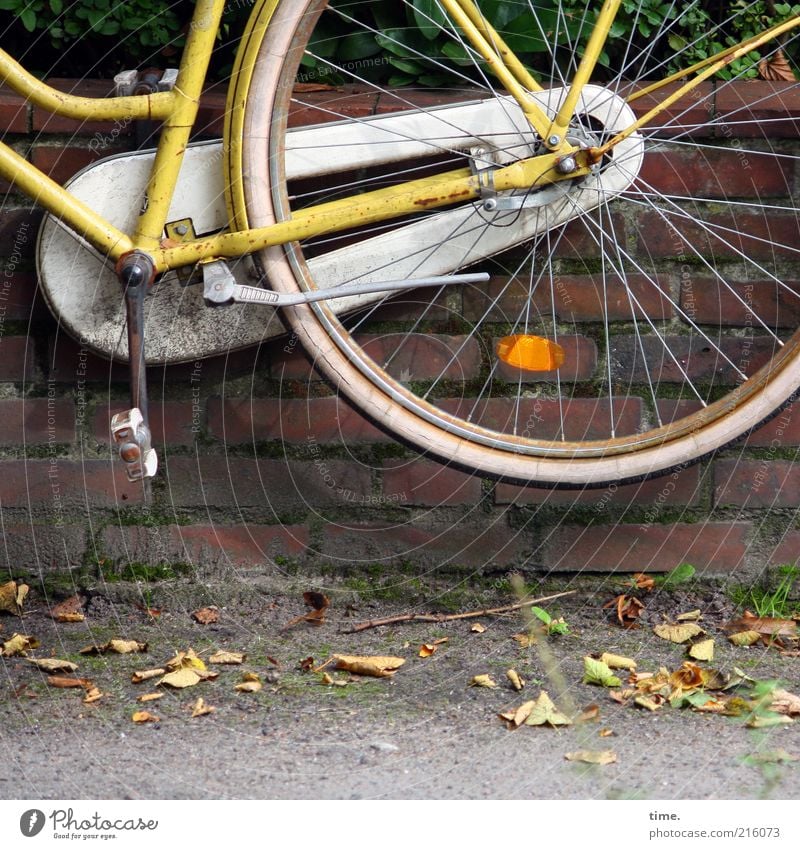 [HH10.1] - Luftspocht Fahrrad Blatt Mauer Wand Backstein fliegen hängen hoch gelb Rad Bürgersteig Pedal Felge Speichen Schweben optische Täuschung Schutzblech
