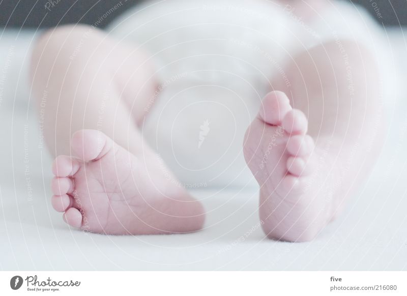 neue welt / teil 2 Bett Mensch Baby Kleinkind Kindheit Beine Fuß 1 0-12 Monate schlafen Wachstum schön weiß Gefühle Freude Glück Zufriedenheit Vertrauen