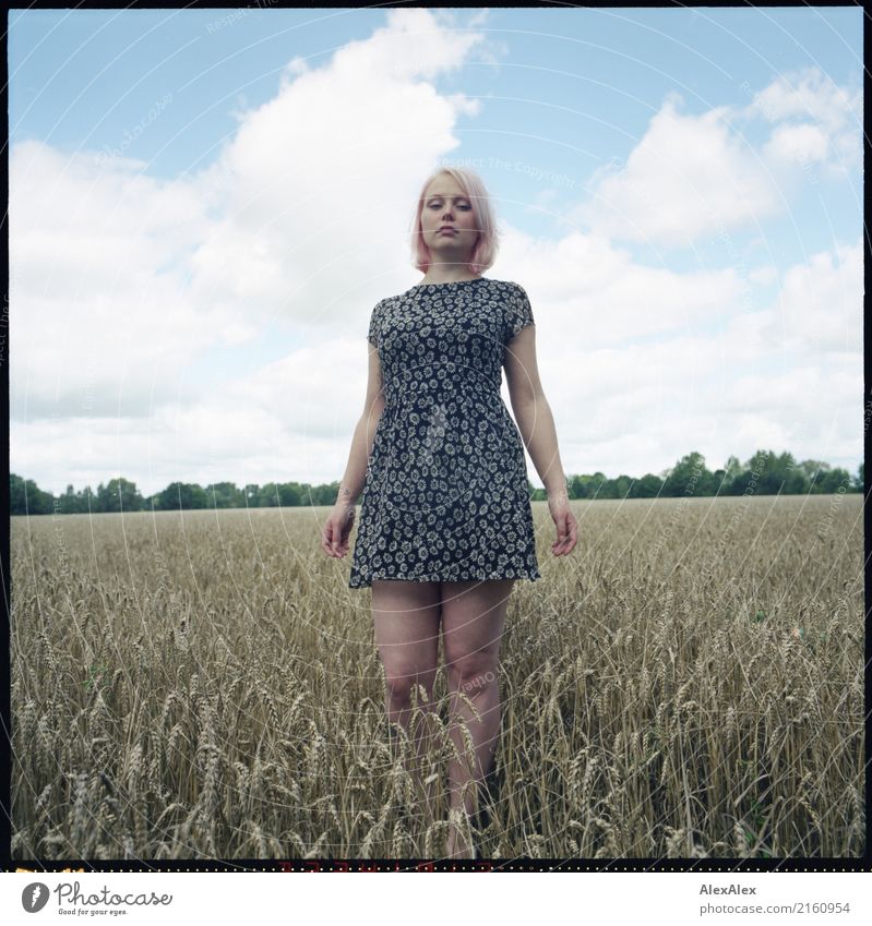 analoges Portrait einer jungen Frau, die im Sommerkleid in einem Feld steht Getreide schön Leben Wohlgefühl Ausflug Junge Frau Jugendliche 18-30 Jahre