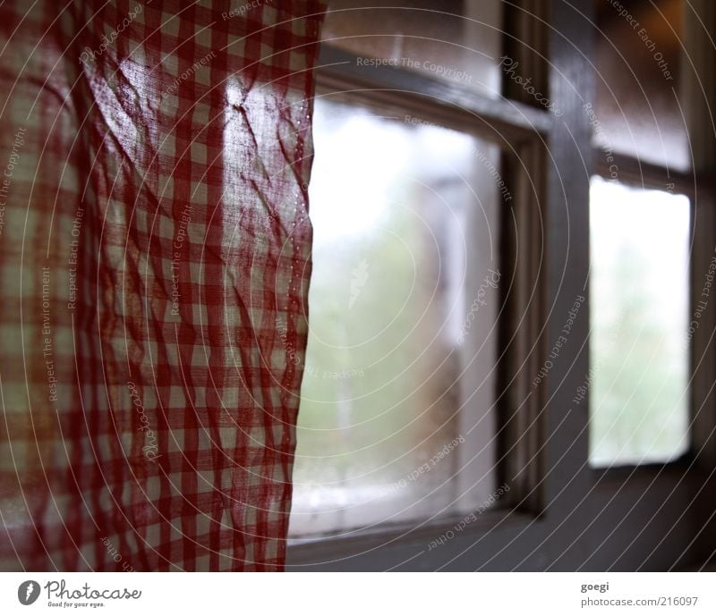 Ein rot-weiß karierter Vorhang. Gardine. Rüschen. Altmodisch - ein  lizenzfreies Stock Foto von Photocase