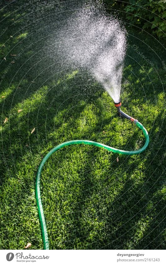 Gartenschlauch und -sprüher auf grüner Wiese Sommer Gartenarbeit Werkzeug Hand Umwelt Natur Gras Tube nass Schlauch Wasser Sprinkleranlage Bewässerung Rasen