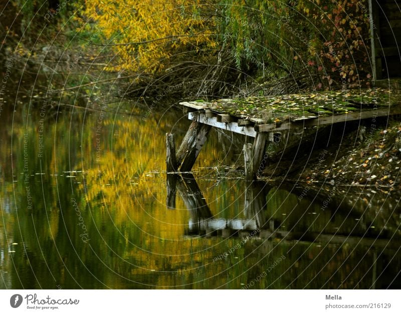 Was vom Tage übrig bleibt Umwelt Natur Landschaft Wasser Herbst Seeufer Teich Steg Holz alt dunkel kaputt natürlich braun Stimmung ruhig Einsamkeit Ende