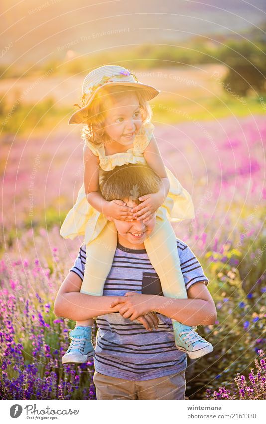 Raten Sie, wer da ist. Mädchen Junge Geschwister 3-8 Jahre Kind Kindheit Umwelt Natur Schönes Wetter Baum Gras Lavendel Feld Lavendelfeld T-Shirt Hose Kleid