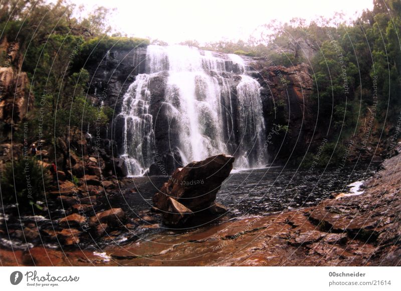 wasserfall See Urwald Australien nass Wasserfall Felsen Stein