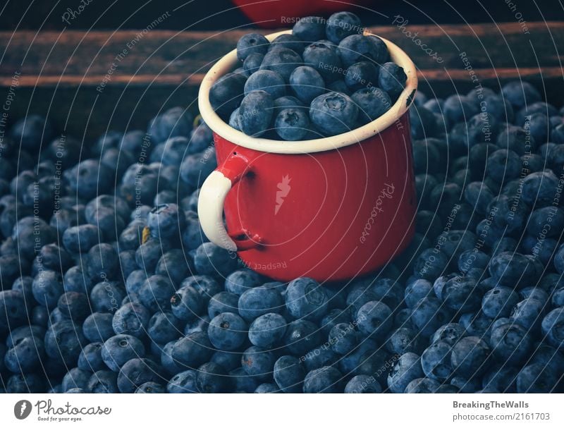 Frische Blaubeere im roten Emailbecherabschluß oben Lebensmittel Frucht Ernährung Bioprodukte Vegetarische Ernährung Diät Tasse Kasten kaufen blau Blaubeeren