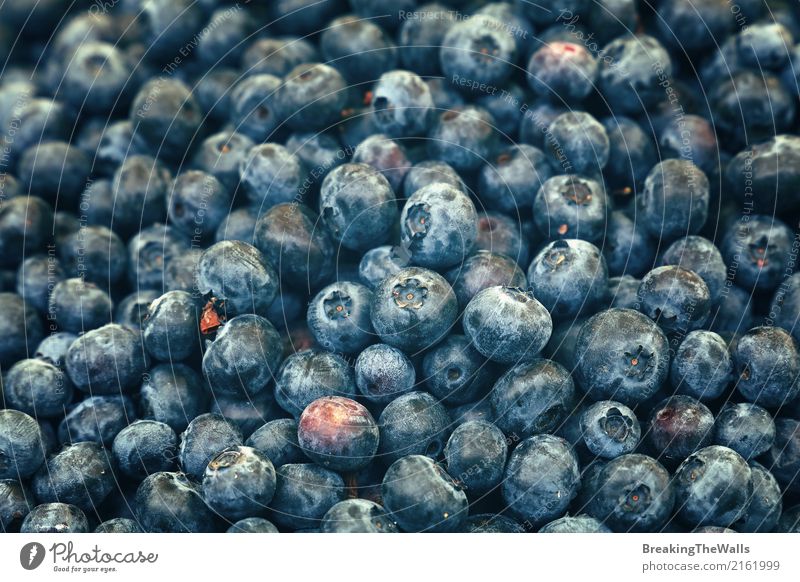 Weinlesefoto von frischen Blaubeerbeeren schließen oben Lebensmittel Frucht Ernährung Bioprodukte Vegetarische Ernährung Diät Gesunde Ernährung Sommer groß blau