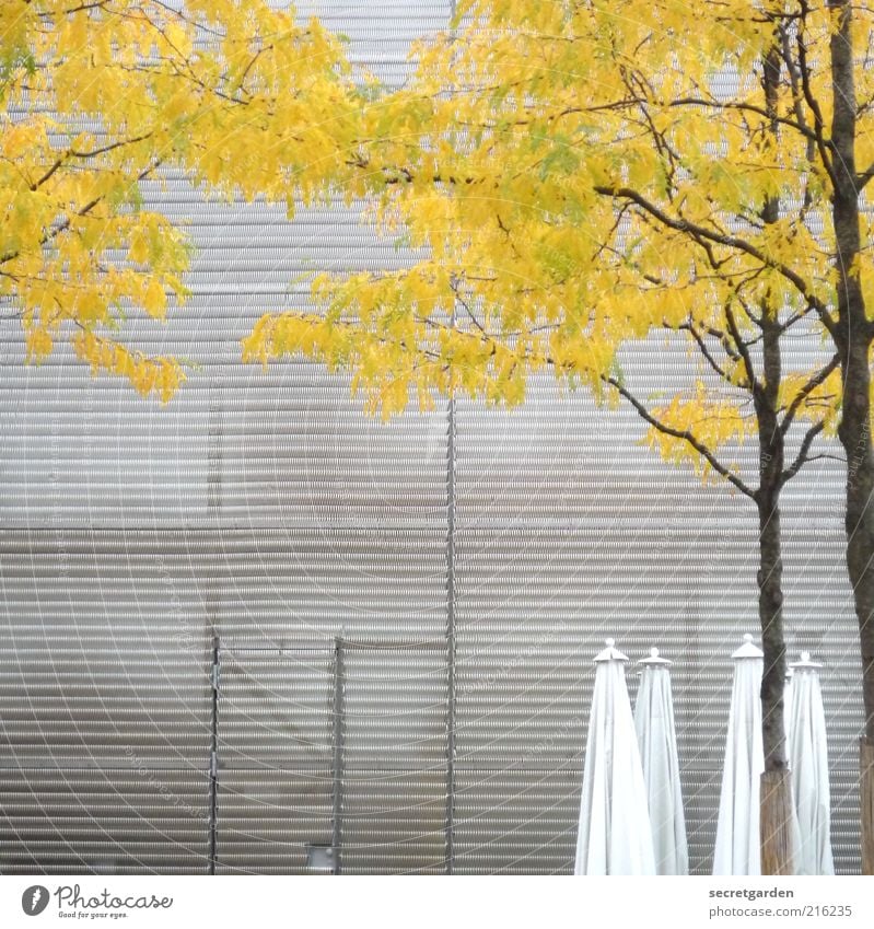 tags um halb eins auf der reeperbahn. Gastronomie Natur Herbst Baum Industrieanlage Fabrik Platz Gebäude Architektur Fassade Tür Metall Linie gelb grau weiß