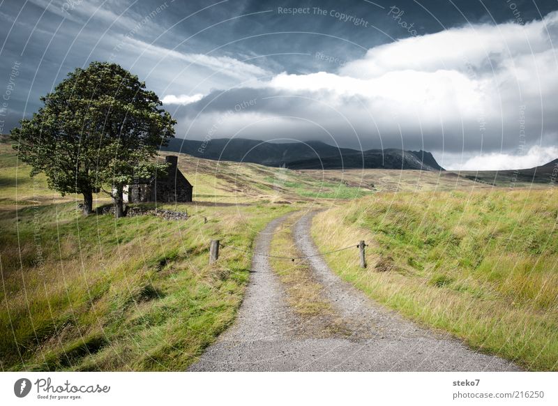 private property Landschaft Wolken Schönes Wetter Wind Baum Wiese Berge u. Gebirge Hütte Ruine Wege & Pfade alt klein Einsamkeit Einfahrt Highlands Schottland