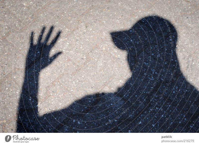 Der Schattenfotograf maskulin Kopf Hand Finger 18-30 Jahre Jugendliche Erwachsene schwarz Silhouette Backstein Mütze Hinweis Begrüßung Abschied Servus Farbfoto