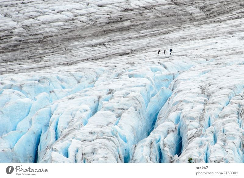 Exit Gletscher 3 Mensch Menschengruppe Winter Klimawandel Eis Frost frieren wandern bedrohlich gigantisch kalt blau grau weiß Wege & Pfade Zusammenhalt