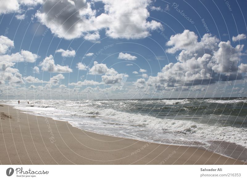 Lieber Nordseesehen als Karibikgucken Natur Luft Wasser Himmel Wolken Horizont Sommer Schönes Wetter Wind Strand Meer Insel Sylt Rantum Schleswig-Holstein Ferne