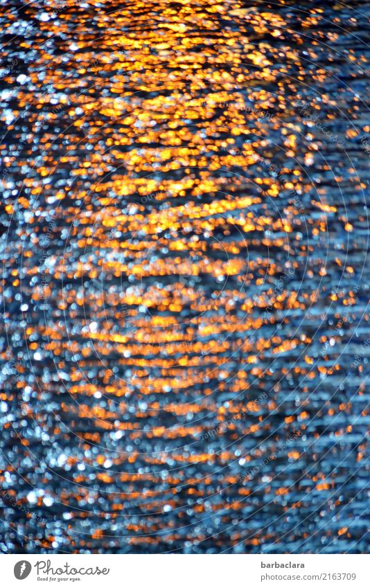 Kurioses | gläserner Sonnenuntergang Tür Glas glänzend leuchten Wärme blau gold Stimmung bizarr exotisch Farbe Sinnesorgane Illusion Farbfoto Innenaufnahme