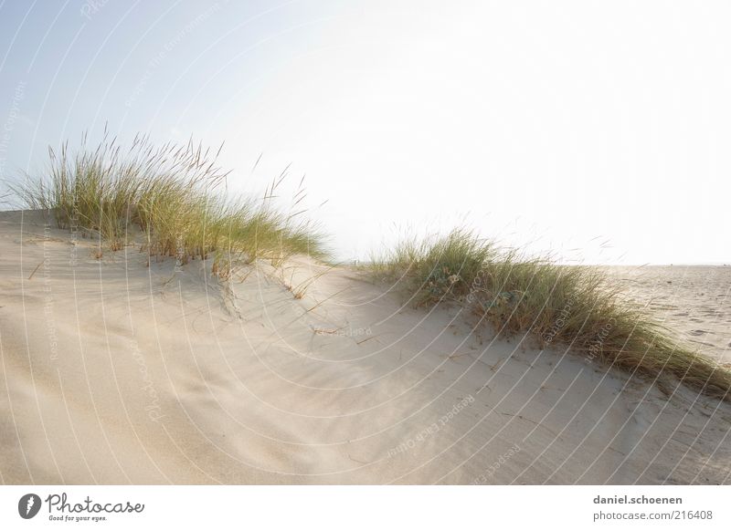 Costa de la Luz Ferien & Urlaub & Reisen Tourismus Sommer Sommerurlaub Sonnenbad Strand Meer Schönes Wetter Wind Küste hell blau weiß Erholung ruhig Sand