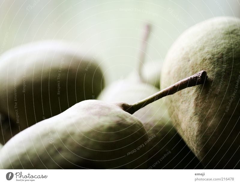 Obst Frucht Ernährung Bioprodukte Vegetarische Ernährung braun grün Gesunde Ernährung Birne Birnenstiel Nahaufnahme Farbfoto Hintergrund neutral Schatten
