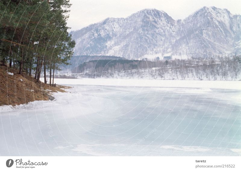 unberührtes Eis Ferne Freiheit Winter Schnee Winterurlaub Umwelt Natur Klima Schönes Wetter Frost Berge u. Gebirge Altai Gebirge Seeufer Flussufer authentisch