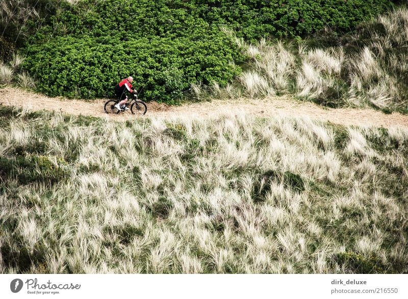 Mountainbike Ferien & Urlaub & Reisen Fahrradtour Mann Erwachsene Menschenleer Gesundheit Freude Gras Landschaft Freizeit & Hobby Fahrradfahren Mountainbiking