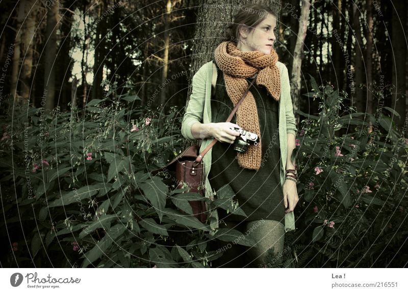 Waldfee Fotokamera feminin Junge Frau Jugendliche 1 Mensch Herbst Kleid Strumpfhose Schal Tasche brünett Blick stehen retro ruhig Gelassenheit genießen