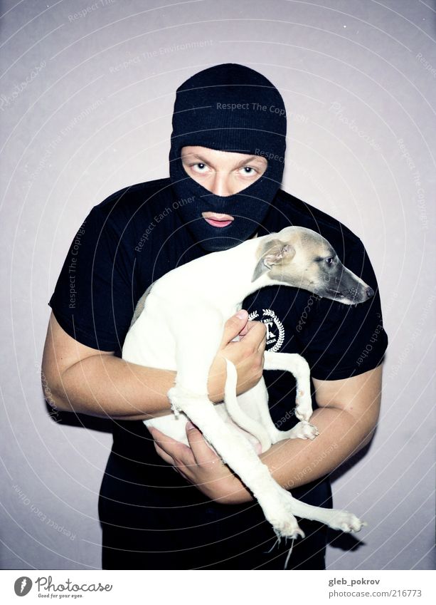 Doc #whippet Stil Mensch Arme 1 Bekleidung T-Shirt Helm Haustier Hund frieren einzigartig Coolness Kraft Macht Sicherheit Schutz Angst Energie dokumentarisch