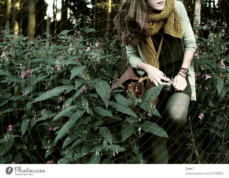 kurze Rast Fotokamera feminin 1 Mensch Herbst Wildpflanze Wald Tasche Schal brünett Lächeln Neugier Gedeckte Farben Außenaufnahme Textfreiraum links Tag