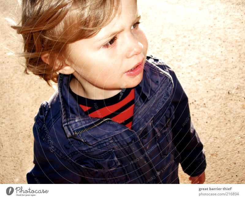 Kind Junge Jacke blau Mensch maskulin Kleinkind Kindheit Kopf 1 1-3 Jahre gehen natürlich rot Wachsamkeit Blick blond kurzhaarig Jeansjacke gestreift Gesicht