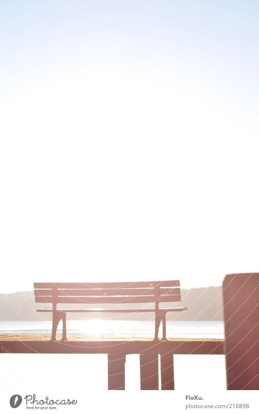 Komm, setz' dich! Umwelt Natur Landschaft Wasser Sonne Sonnenlicht Schönes Wetter Park Küste Seeufer leuchten frei Freundlichkeit schön Wärme blau weiß Pause