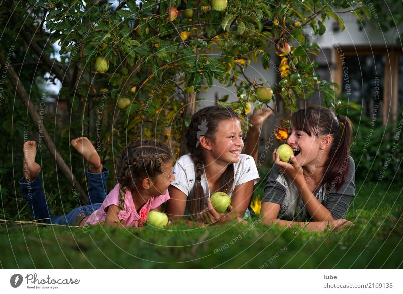 Apfelernte 2 Lebensmittel Frucht Ernährung Essen Gesundheit Landwirtschaft Forstwirtschaft Mädchen Kindheit Umwelt Natur Herbst Garten Wiese Erholung