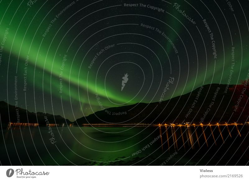 Aurora - Nordlichter in Norwegen Natur Himmel Herbst Horizont Nachthimmel Wolken Fjord Bewegung außergewöhnlich Unendlichkeit Licht Surrealismus geheimnisvoll