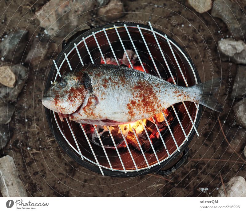 Mediterranean Barbecue. Tier ästhetisch Fisch Abendessen Grillen Grillrost Grillkohle Grillsaison Urlaubsfoto lecker Steinkreis Feuer Feuerstelle frisch