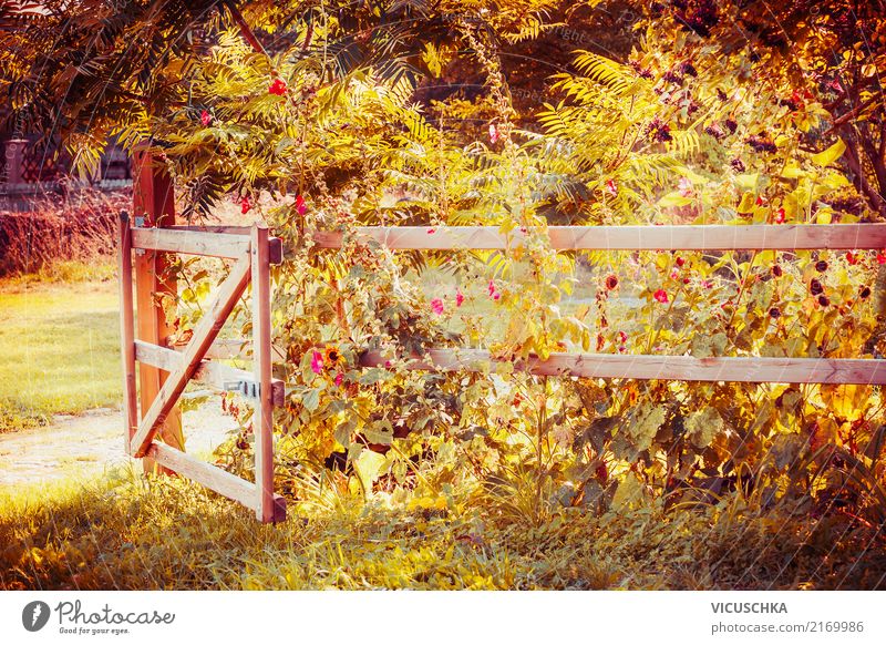 Zaun und Tor in einem Herbstgarten Lifestyle Design Sommer Garten Natur Landschaft Pflanze Baum Blume Gras Sträucher Blatt Blüte Park gelb fence schön Farbfoto