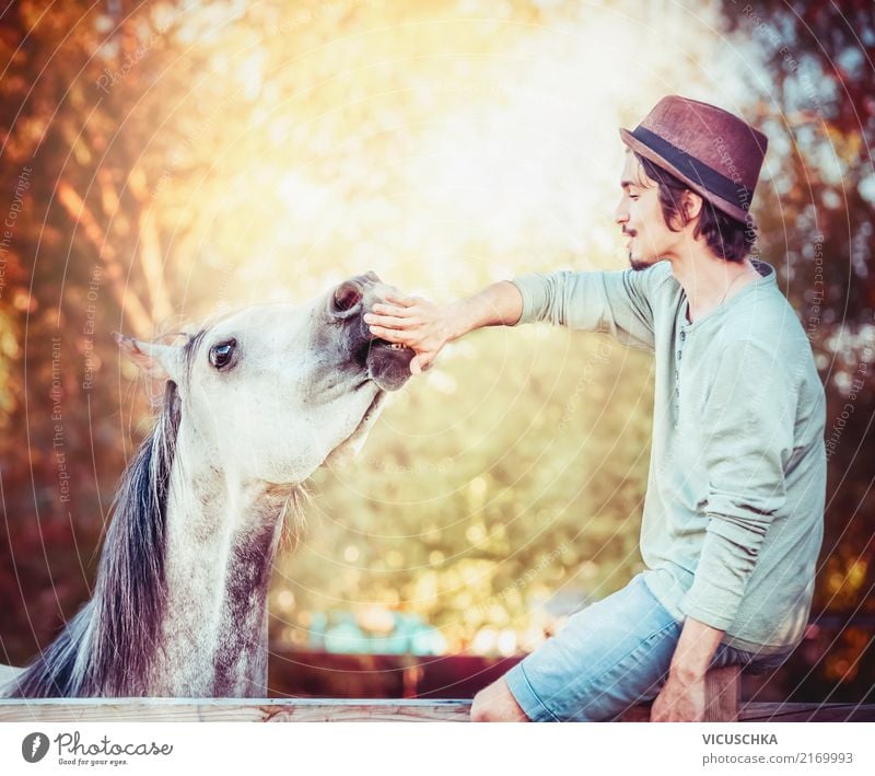 Kommunikation zwischen jungen Mann und Pferd Lifestyle Mensch Junger Mann Jugendliche Hand Natur Herbst Tier Gefühle Freude Lebensfreude Kommunizieren Sport