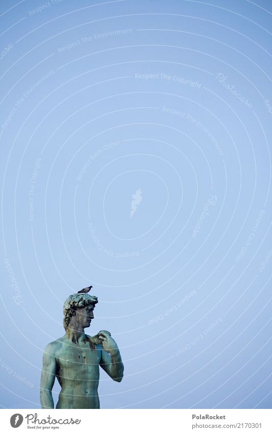 #A# Don't Shit On Me Argentina Kunst ästhetisch Statue Kopf Taube Kot vollgeschissen Italien Florenz Ferne blau Farbfoto mehrfarbig Außenaufnahme Detailaufnahme
