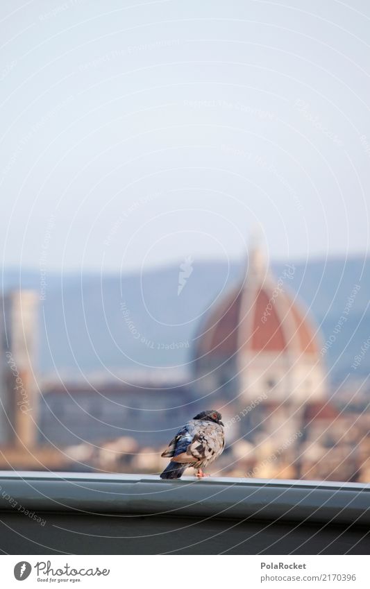 #A# Firenze Kunst ästhetisch Florenz Städtereise Kuppeldach Tourist Italien Sommerurlaub Ausflugsziel Dach Geländer Taube Überblick Aussicht Farbfoto