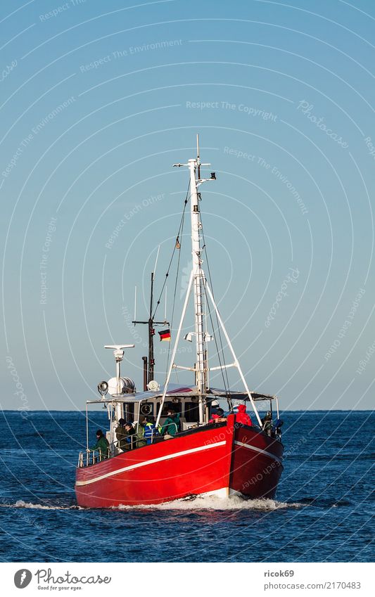 Ein Fischerboot auf der Ostsee vor Warnemünde Ferien & Urlaub & Reisen Tourismus Meer Natur Wasser Küste Wasserfahrzeug blau rot Tradition Umwelt Ostseeküste