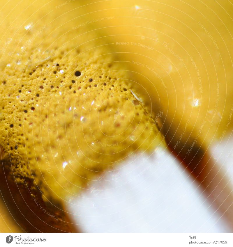 gelb Streichholz Schwefel porös Farbfoto Nahaufnahme Detailaufnahme Makroaufnahme Experiment Strukturen & Formen Textfreiraum unten Licht Kontrast