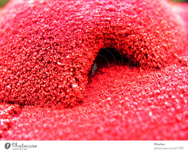 kleine, rote Höhle Reiterhelm Faser obskur Makroaufnahme Detailaufnahme Nahaufnahme Modding